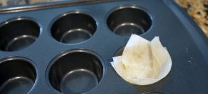 Phyllo3 300x136