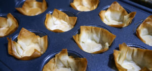 Phyllo4 300x140