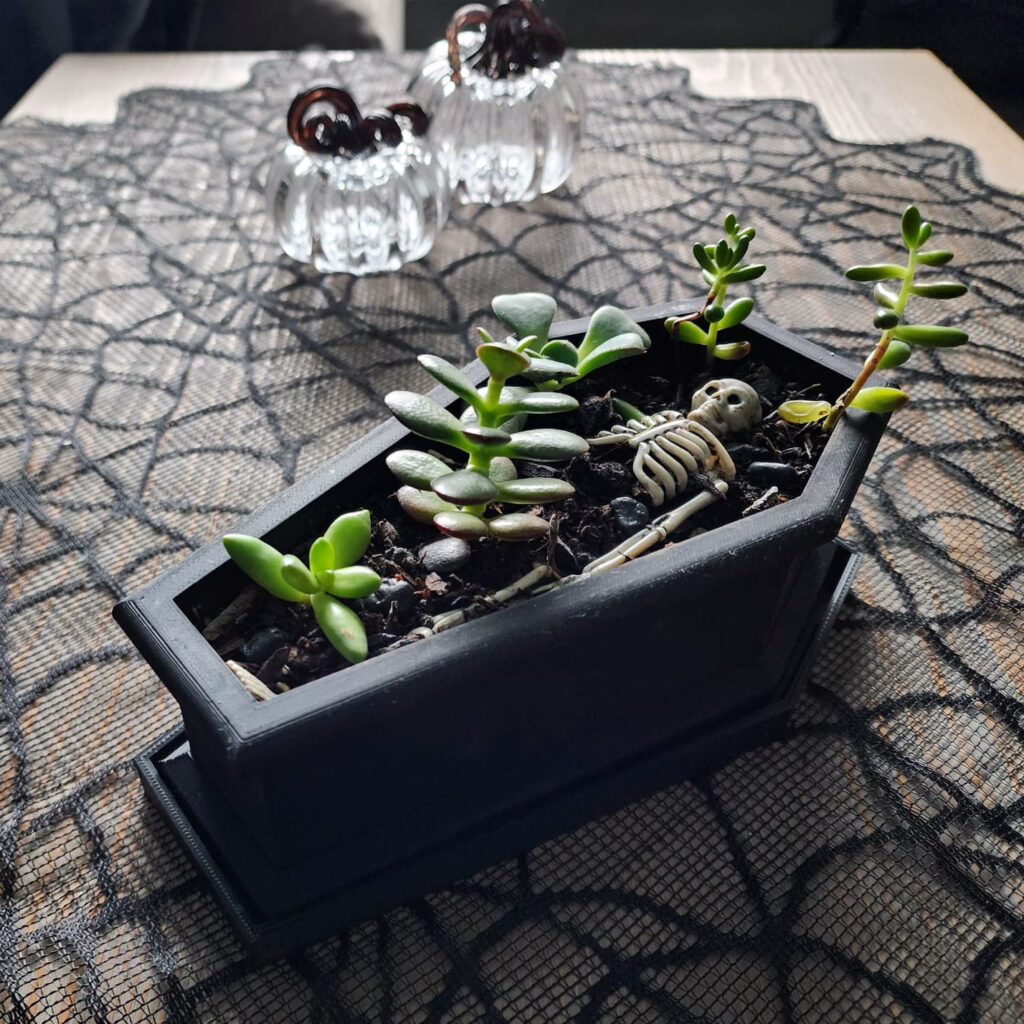 Coffin-shaped planters used as Halloween decor with dark foliage for a modern witchy aesthetic.