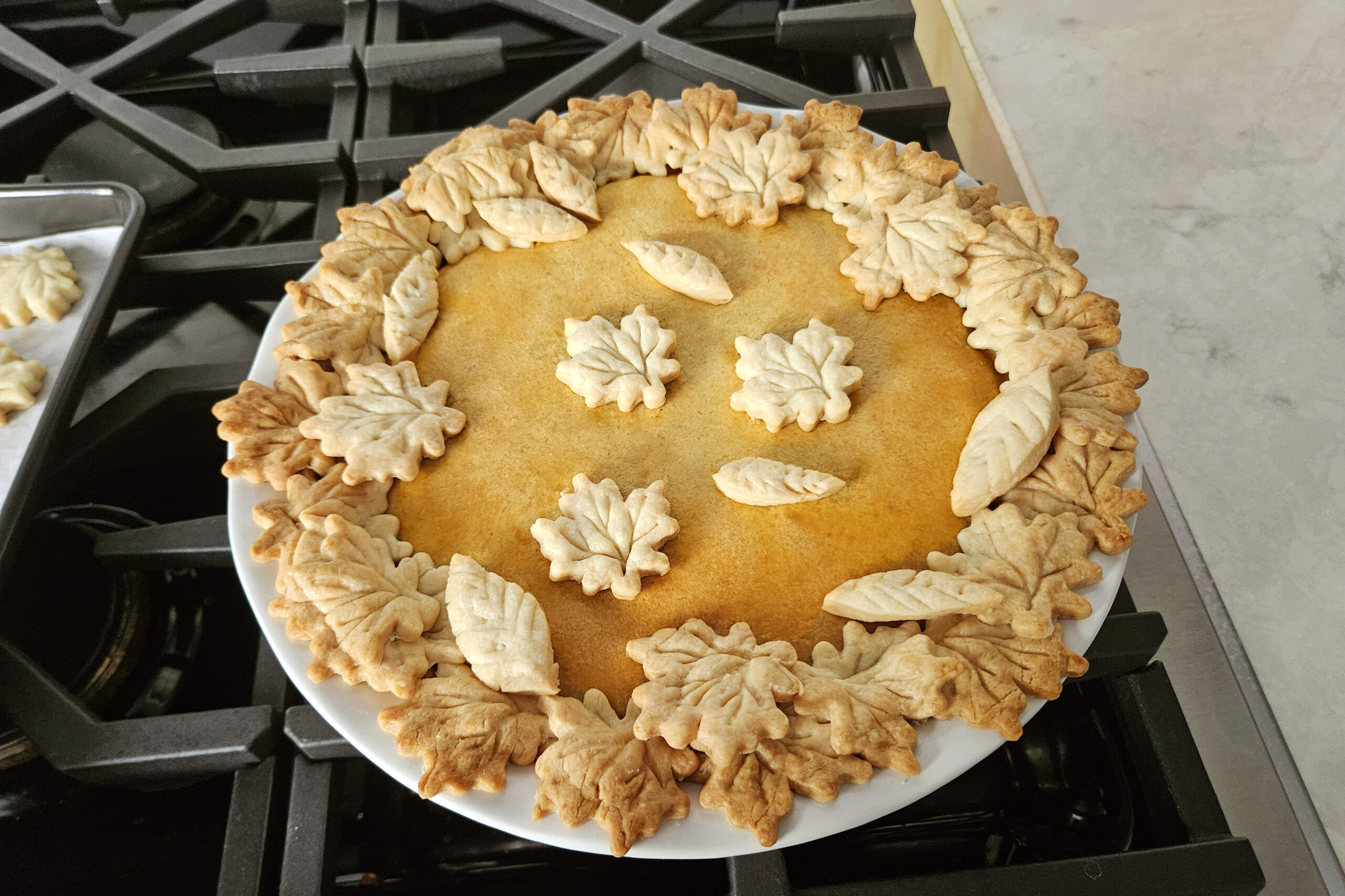 pumpkin pie from oven