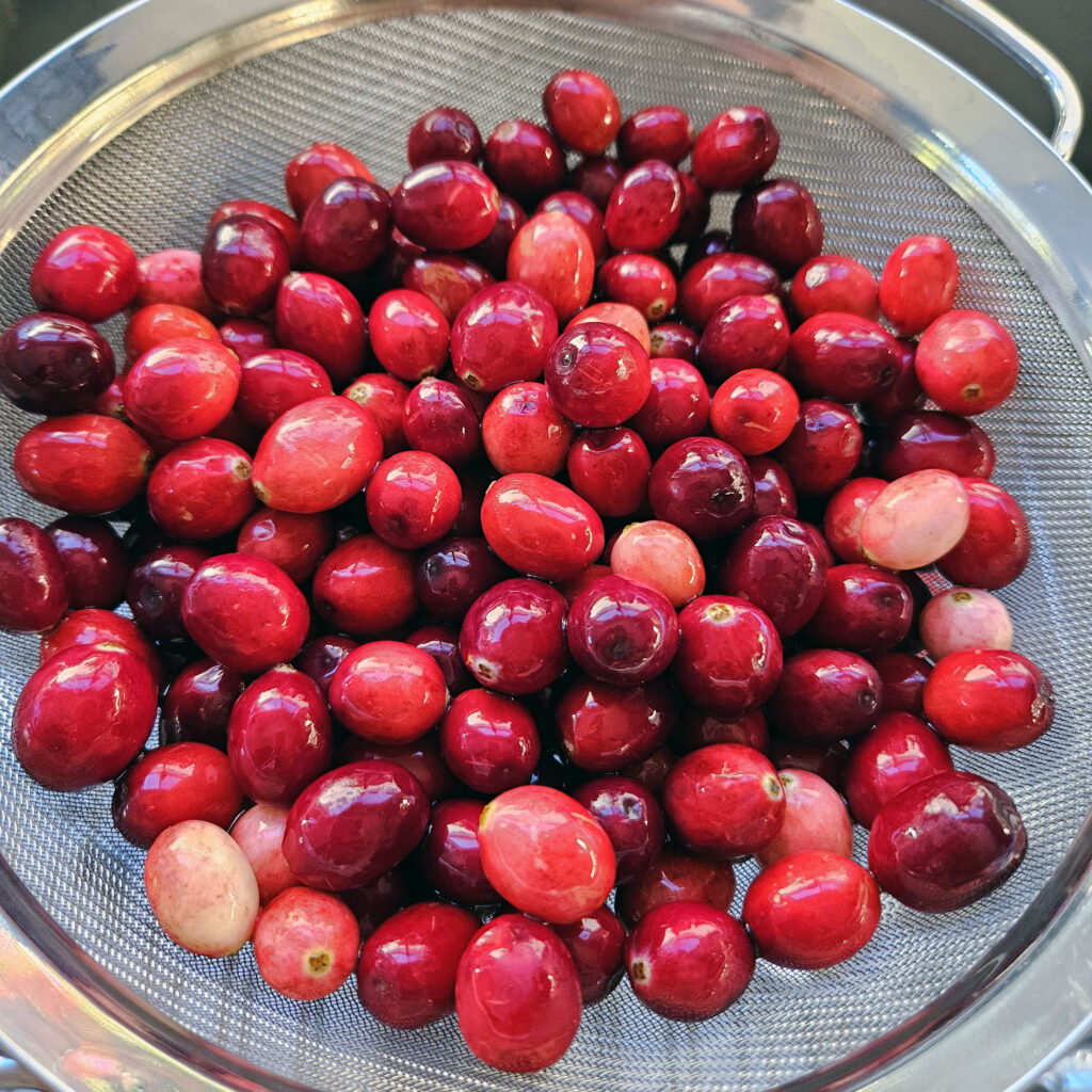 Whole fresh cranberries arranged on a cutting board before preparing cranberry salsa.