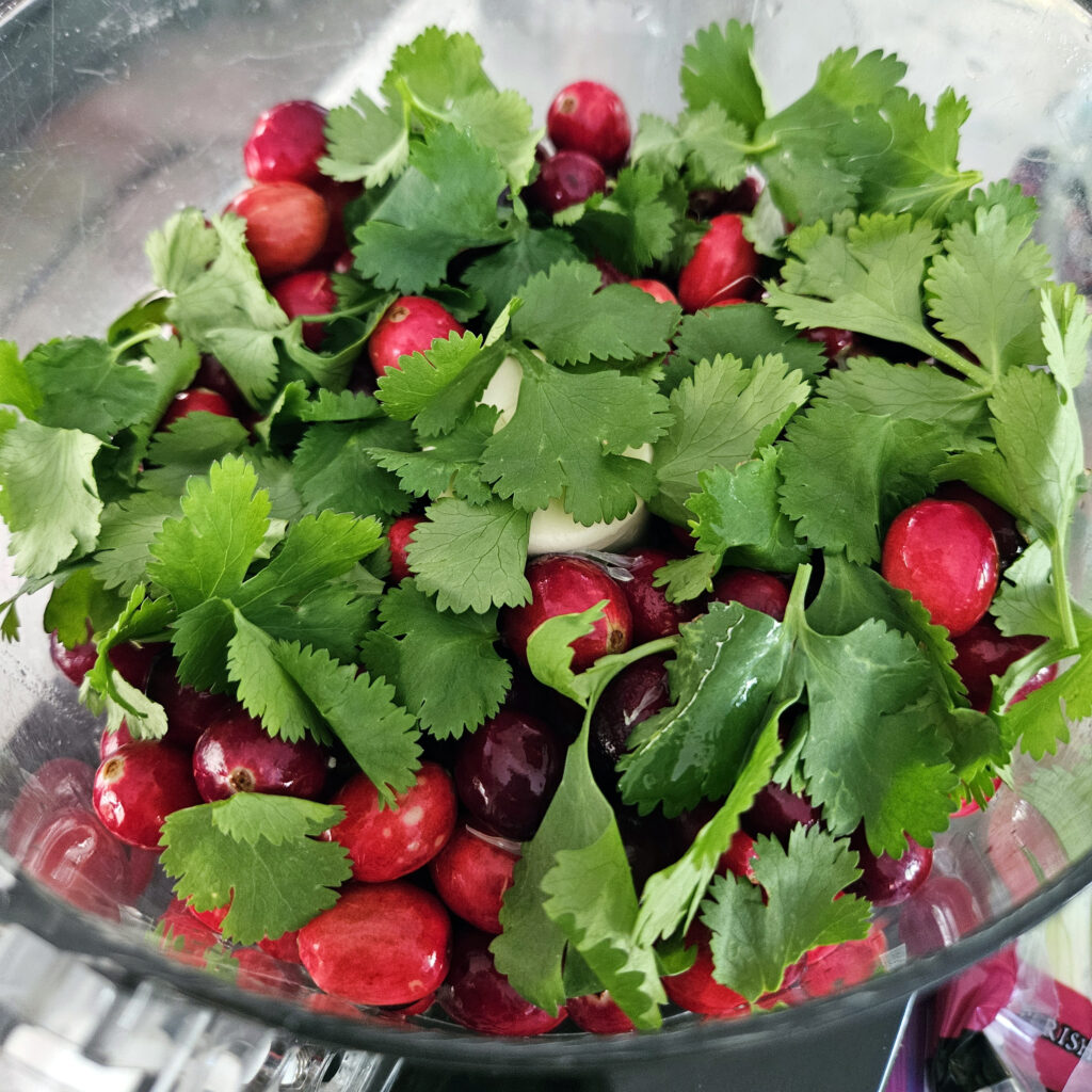 Cranberries and ingredients pulsed together in a food processor for chunky salsa.